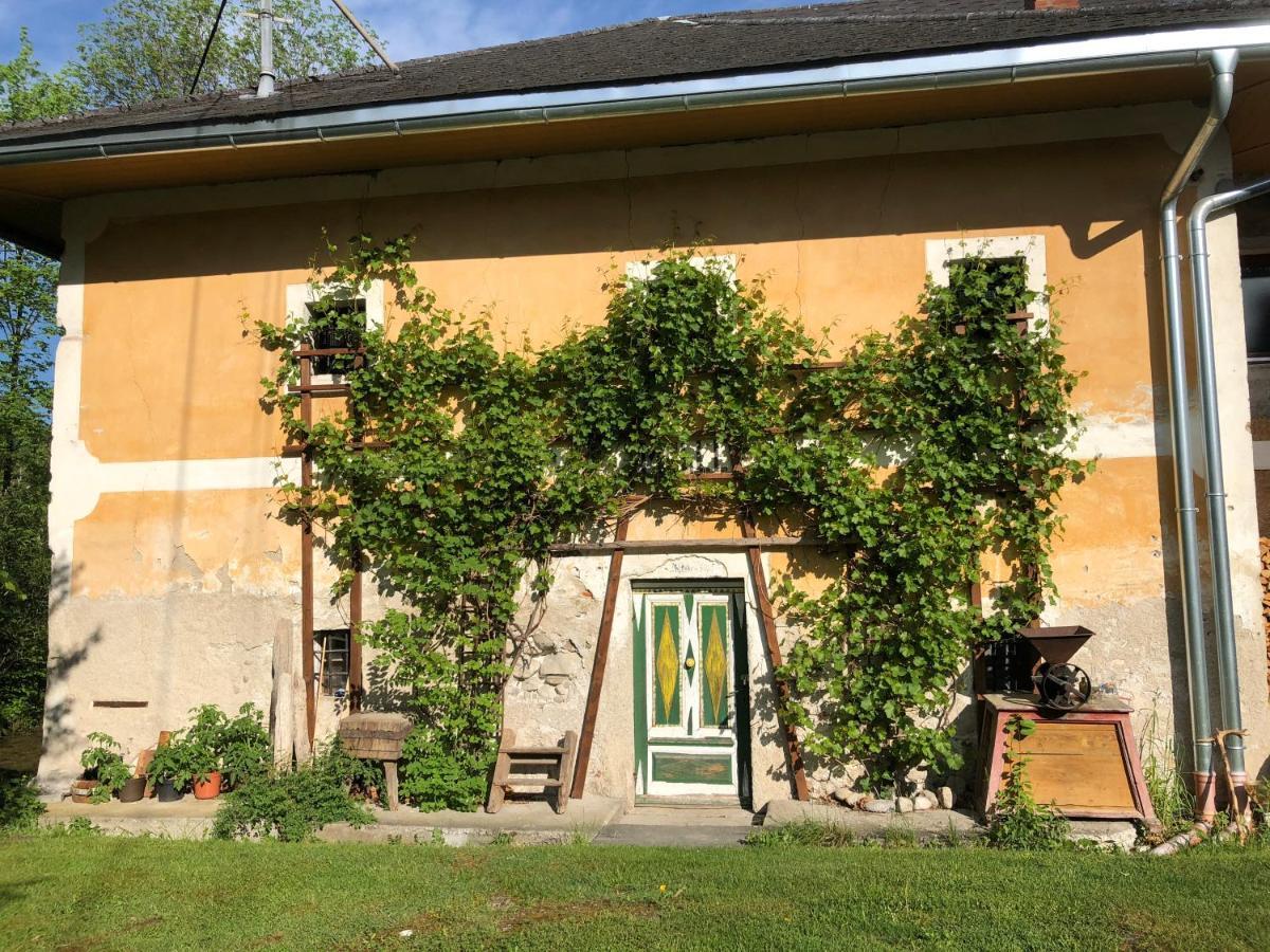 Ferienwohnung Klampfermuehle Vorchdorf Exteriör bild